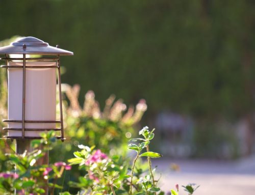 Energy Efficiency in Landscape Lighting