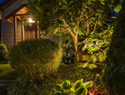 Maintenance Tips for Landscape Lighting Systems