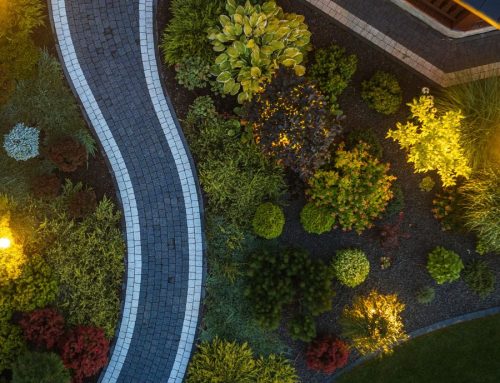Mid-Summer Landscape Lighting Check