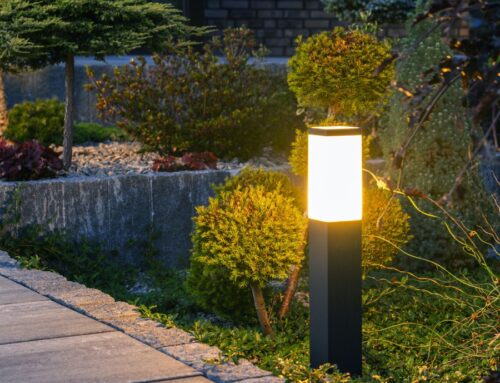 DIY vs. Professional Landscape Lighting Installation