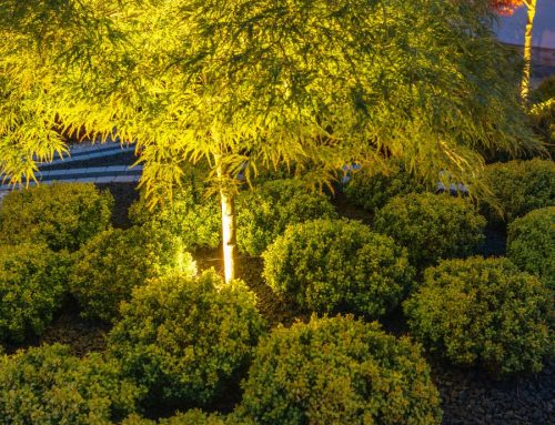 Understanding Different Types of Landscape Lighting
