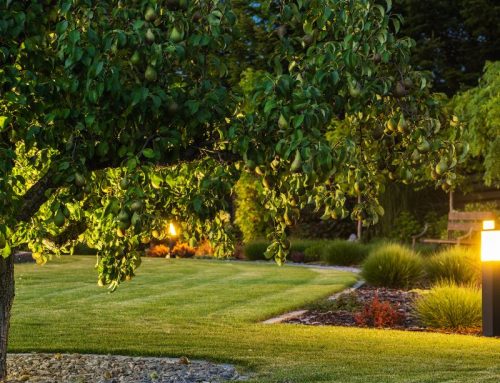 Smart Outdoor Landscape Lighting on Long Island
