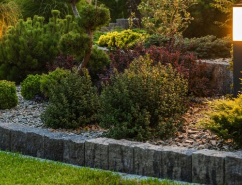 Seasonal Landscape Lighting Considerations on Long Island