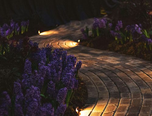 Landscape Lighting Ideas for Late Summer Backyard Entertaining