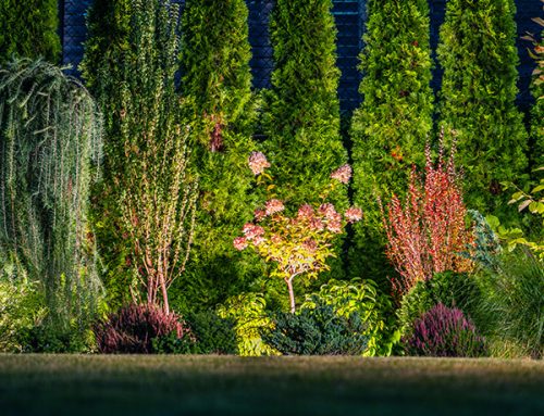 Fall Landscape Lighting Ideas for Long Island Homes